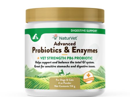 Advanced Probiotics & Enzymes Powder For Sale