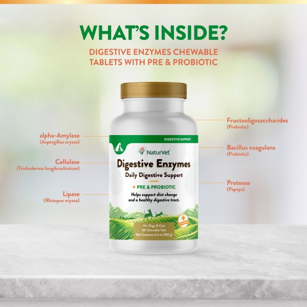 Digestive Enzymes Chewable Tablets with Prebiotics & Probiotics Online Hot Sale