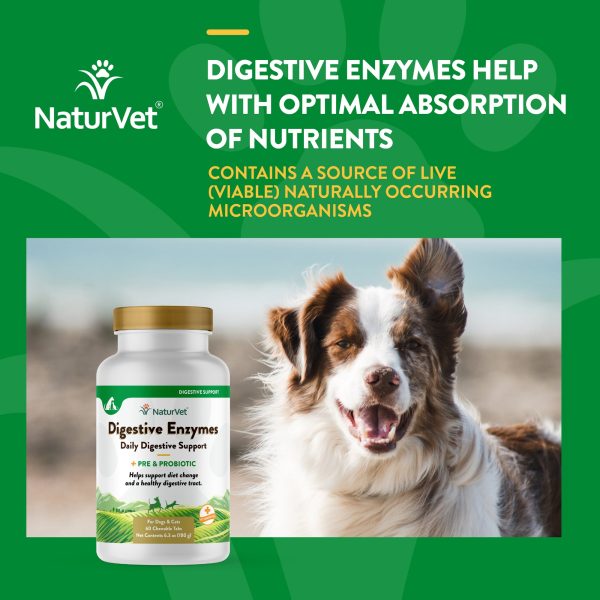 Digestive Enzymes Chewable Tablets with Prebiotics & Probiotics Online Hot Sale