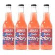 Jones Soda Co. Special Release Nuka Cola Victory | Fallout Merchandise | Cane Sugar Soda | Craft Soda Pop | Soda Soft Drinks | Glass Bottle Soda | Peach & Mango Flavor | (1 Bottle) Sale