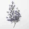 Lavender Drape Greenery Online