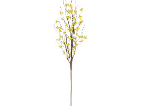 Forsythia Pick 34” For Discount