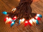 100ct. Silicone Dipped String Lights Supply