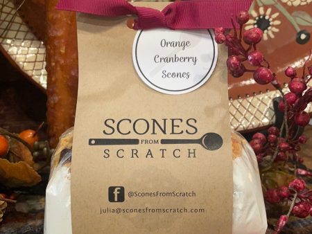 Orange Cranberry Scones from Scratch For Cheap